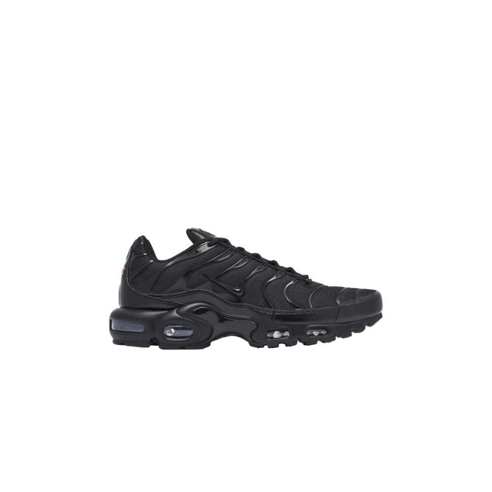 Nike Air Max Plus "Triple Black"