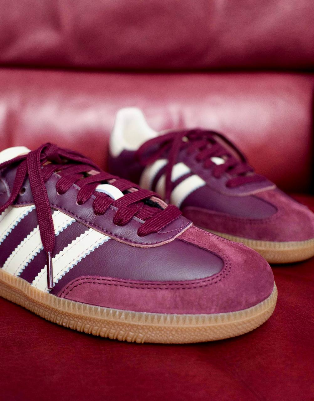 Adidas Samba OG Maroon-Cream White-Gold Metallic